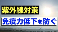 【紫外線対策１】厳しい紫外線による免疫力低下や体へのダメージに要注意！の写真