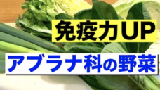 【免疫力UP！】アブラナ科の野菜を上手に摂ってみよう！の写真